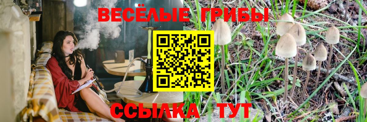 Псилоцибиновые грибы Cubensis  Вход с VPN  Галлюциногенные грибы MAGIC MUSHROOMS  Сегежа 