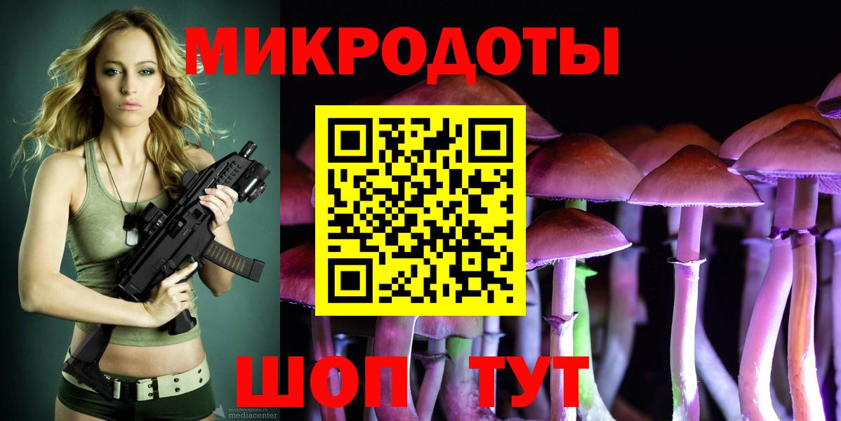 Псилоцибиновые грибы Psilocybine cubensis Сегежа